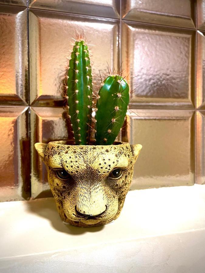 Coralcanteras Loft Лас Палмас де Гран Канария Екстериор снимка
